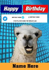 ssn79 Llama sports newsreader   any Occasions Personalised Greeting Card