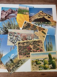 24 Vintage Uncirculated Arizona Postcards Mid Century Mix - Picture 1 of 4