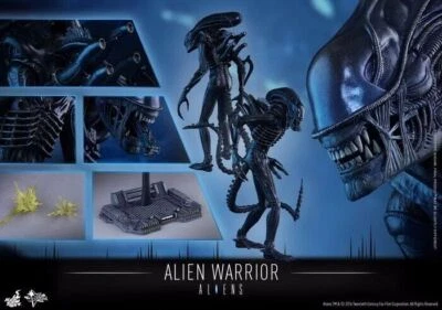 New Hot Toys MMS354 Aliens Alien Warrior 1/6 Collectible Figure Model 35cm - Image 1 of 4