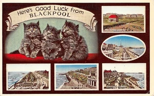 # K2074 TARJETA POSTAL GATOS, "BUENA SUERTE de BLACKPOOL" - Imagen 1 de 2