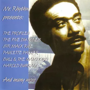 V.A. - MR. RHYTHM PRESENTS! 24 Hits - Andre Williams - Picture 1 of 1