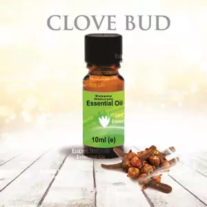 Clove Bud Essential Oil 10ml - 100% Pure - For Aromatherapy & Home Fragrance - Picture 1 of 3