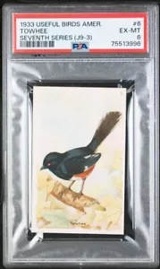 1933 Church & Dwight Useful Birds America J9-3 Towhee #6 PSA 6 EX-MT - Foto 1 di 2
