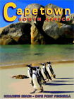 94764 Cape Town South Africa African Penguins Beach Decor Wall Print Poster
