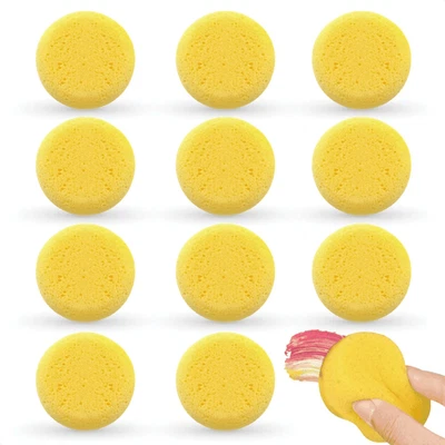 LIBERHAUS 12 Pcs Pottery Sponges for Clay – 2.8 x1 Pottery Sponge for Painting Car