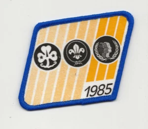 TRANSATLANTIC COUNCIL ??? patch / GIRL GUIDES - Boy Scout BSA / A142 B66 - Picture 1 of 2