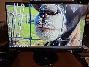 Lenovo D24-40 Flat Panel Monitor FHD - Picture 1 of 6