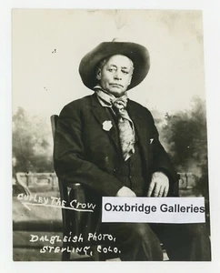 Curly The Crow Portrait 1900 Crow Native American George Custer Little Bighorn - Picture 1 of 2