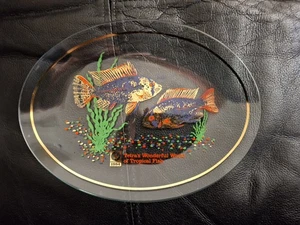 Vintage Old 1970s Aquarium Tetra Wild Ram Fish Food Advertising Glass Plate - Picture 1 of 6