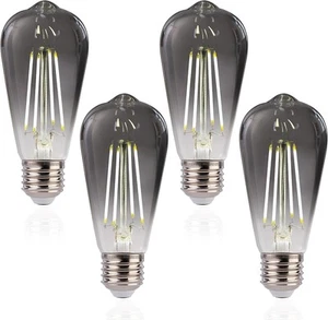 ST19 LED Edison Bulbs, 5000K White Light, Dimmable, Smoky Grey Glass, 4W, 4 Pack - Picture 1 of 4
