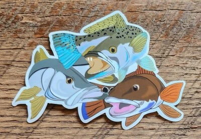 MOUNTAIN CREEK ANGLERS IN-SHORE SLAM Sticker Decal Saltwater redfish snook sea trout 4 1/2" x 3"