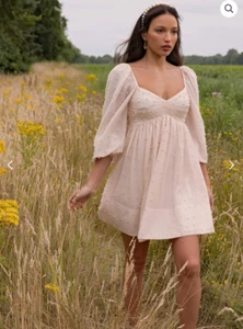Sheike Dress Fairytale Size 10 Long Sleeve Pearl Overlay Short Mini Nude Tulle - Picture 1 of 7