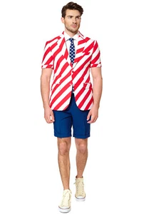 United Stripes 4th of July Independence Day Beach Summer Suit Adult Costume - Picture 1 of 2
