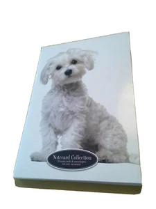 THE GIFTED STATIONERY CO DOGS & PUPPIES 20 NOTECARDS & ENVELOPES NEW GIFT XMAS - Picture 1 of 5