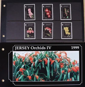 Estampillas de Jersey: "Jersey Orchids IV" MNH Paquete de Presentación Juego de 6 Valores 1999 - Imagen 1 de 4