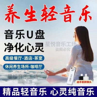 USB Flash Drive Leisure Meditation background Light Pure Music U Disk Car Music - Image 1 of 4