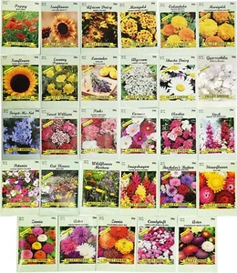 Set of 29 Black Duck Brand Flower Seed Packets - USA SEEDS - Non GMO - Picture 1 of 6