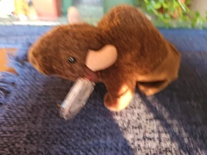 RETIRED Ty Beanie Baby Roam the Buffalo 1998 w/Tag Errors - Picture 1 of 2