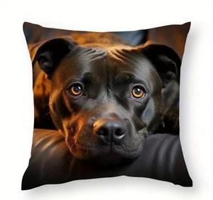 Super Soft Staffordshire Bull Terrier Cushion Cover. 45cm x 45cm - Picture 1 of 6