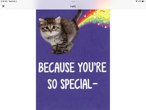 Kitten & Rainbow You're Special, Funny, Happy Valentine’s Day, Greeting Card - Picture 1 of 2