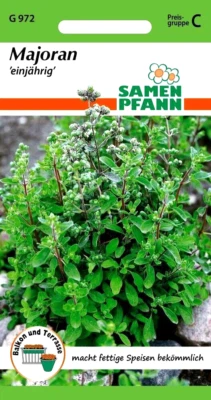 Majoran - einjährig Würzkraut auch für Balkon & Terrasse - Kräuter Samen Saatgut - Bild 1 von 2