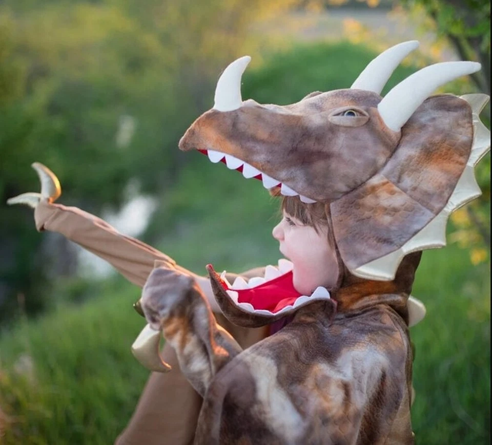 POTTERY BARN KIDS 棕色 TRICERATOPS DINOSAUR DINO 尺码 4-6 (4/5/6) 服装 — 第 1/4 张图片