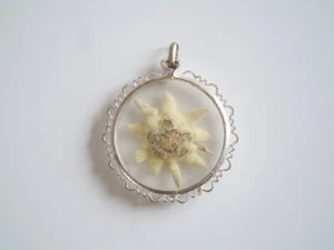 Pendentif Edelweiss séché 6,0 g/4,6 x 3,7 cm - Photo 1/2
