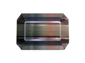 11.00CT Rosa Verde Natural Bi Color Turmalina Corte Octágono Piedras Preciosas Sueltas - Imagen 1 de 3