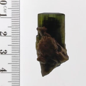 Tourmaline Elbaite green cap bicolor crystal mineral specimen StakNala 50ct - Picture 1 of 8