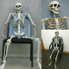 40cm Squelette Humain Prop Décoration De Fête D'Halloween Nouveau Modèle Crânes