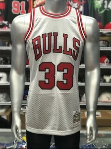 Chicago Bulls Scotti Pippen Mitchell & Ness Swingman Platinum Silver Jersey. New - Picture 1 of 4
