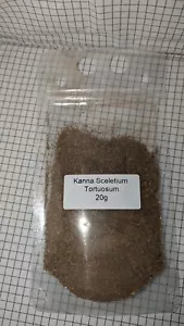 Sceletium Tortuosum - Kanna - Herb 20g - Picture 1 of 2