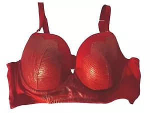 CACIQUE Lace Plunge Bra LANE BRYANT NWOT Padded Plus SIZE 42 D Red Sexy 5 Hooks - Picture 1 of 11