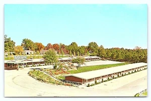 Vintage Harrison Arkansas AR Siesta Motel Advertising Roadside Old Postcard B25 - Picture 1 of 2