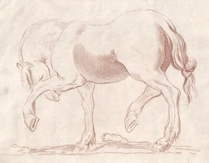 Estampe, étude d'un cheval, manière de crayon, bistre , XVIIIe - Picture 1 of 2