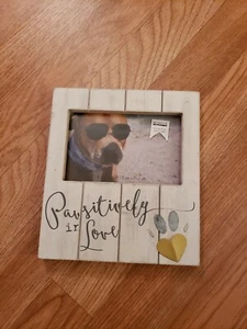 Open-Box, einzigartig, Coastal Pawsitively in Love Holz Bilderrahmen - Größe: 4"x6" - Bild 1 von 2
