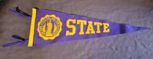 Vintage New York College For Teachers Pennant Flag Purple & Yellow - Picture 1 of 15