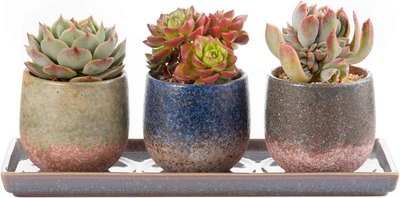 3 Inch Ceramic Succulent Planter Pot Planting Pot Flower Pots Small Planter Pots - Изображение 1 из 4