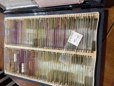 КОРОБКА ИЗ 100 АНТИКВАРНЫХ СЛАЙДОВ МИКРОСКОПА — ЗООЛОГИЯ 1920-е научные - Изображение 1 из 4