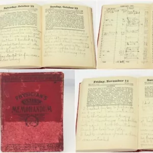 Hand Written Daily Journal 1904 Genealogy Weather Events Budget Savanna Illinois - Picture 1 of 19