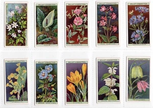 Wild Flowers Cigarette Cards Full Set of 50 issued by WD & HO Wills in 1923 - Picture 1 of 10