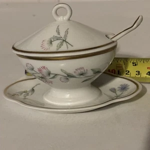 Richard Ginori China Maveta Covered Mustard Covered Lid W Spoon Italy - Picture 1 of 12