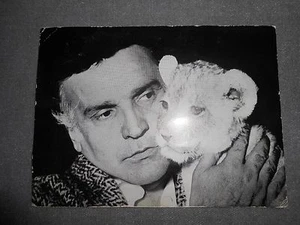 Fotografia NANDO ORFEI Leoncino CIRCO - Foto 1 di 1