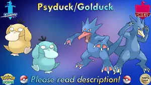 �️Glänzend/nicht glänzend Psyduck/Golduck 6IV ️Pokémon Schwert/Schild ZUHAUSE (legal) - Bild 1 von 21