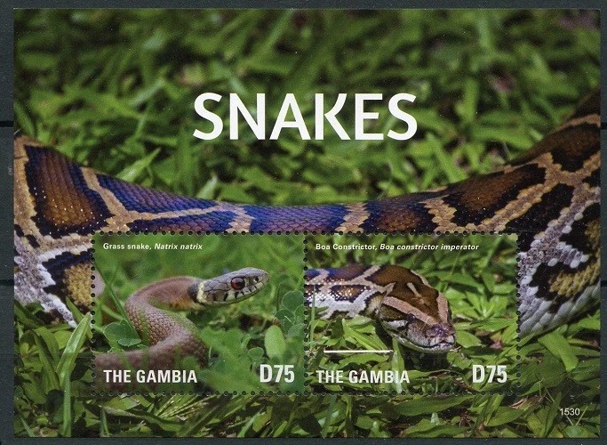 Grass Snake Boa Constrictor, Snakes, Reptiles, Gambia 2015 MNH MS  - Image 1 of 1