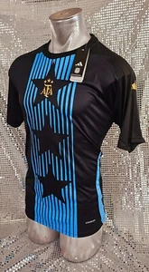 ARGENTINA TRAINING JERSEY 3 STAR WORLD CUP FANS VERSION JERSEY /CAMISETA ARGENTA - Picture 1 of 3