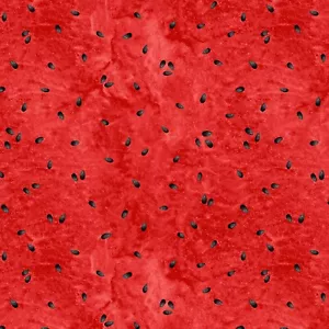 Feline Drive Stoff WASSERMELONE PARTY Wassermelone Samen - Fat Quarter (18x 22") FQ - Bild 1 von 8