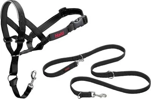 Halti Kopfband Größe 4, schwarz & Training 4 Kopf Halsband, - Bild 1 von 3