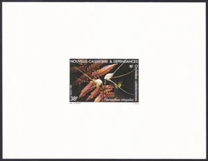 New Caledonia Sc503 Orchid, Flower, Acianthus atepalus, Nature, Deluxe Proof - Picture 1 of 1