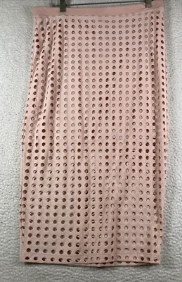 Falda midi para mujer Alexander Wang rubor en capas nueva con etiquetas $195, talla L Foto 1 de 4